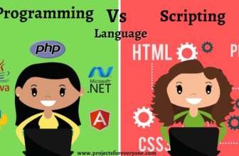 Programming Vs Scripting