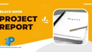 project report