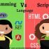 Difference Between Programming and Scripting language